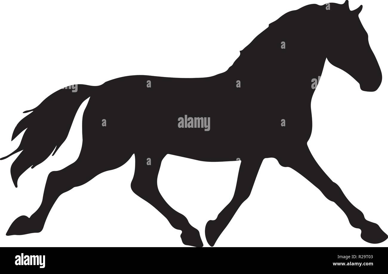 Wallpaper #-2cU-ZIBSpphPi3-KovY185 Black Stallions Stock Vector Images Alamy