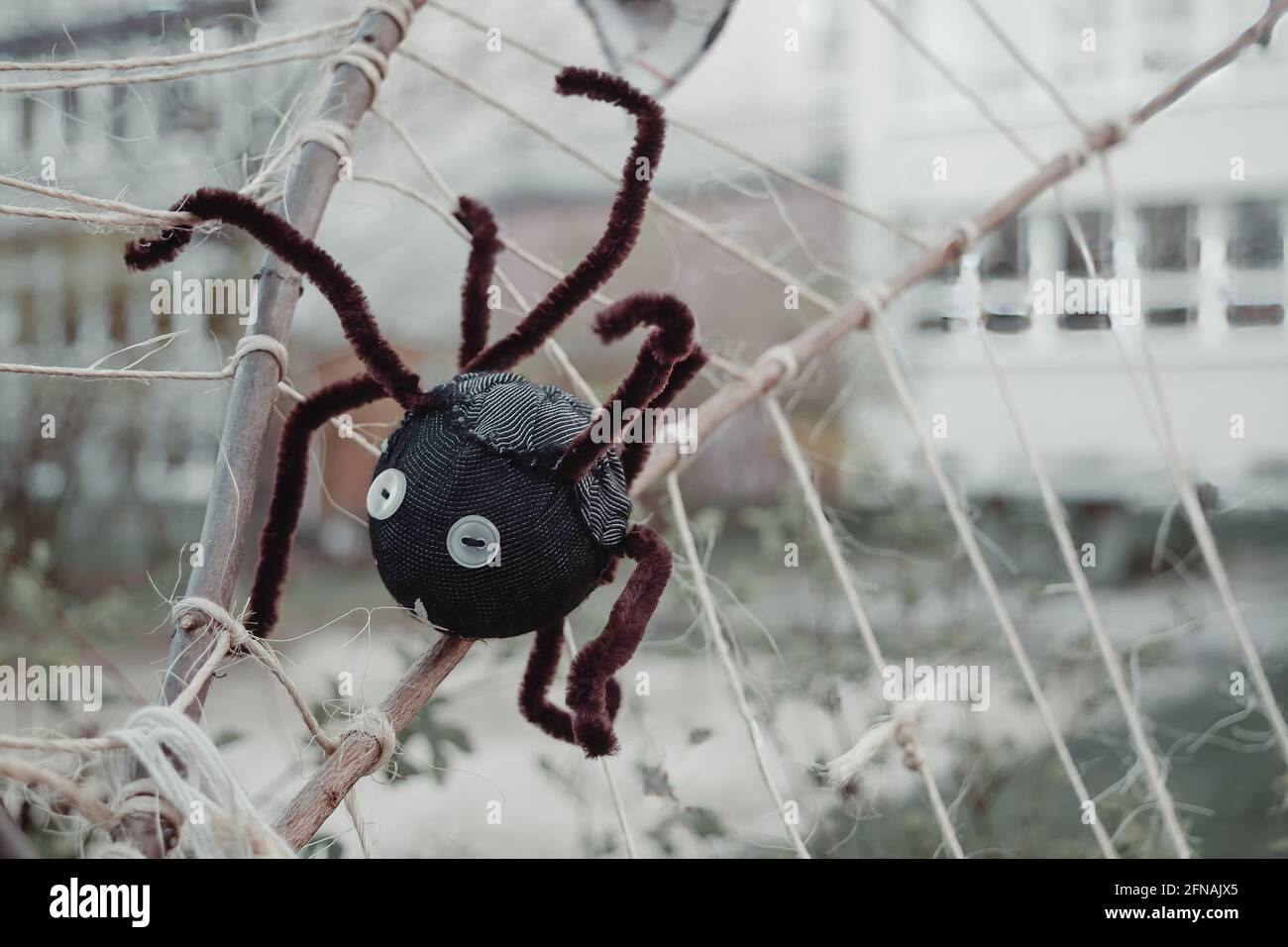 Wallpaper #NP8hZ5MB3lSXT3zUKuKu97 Fake Spider Web Hi Res Stock Photography and Images Alamy
