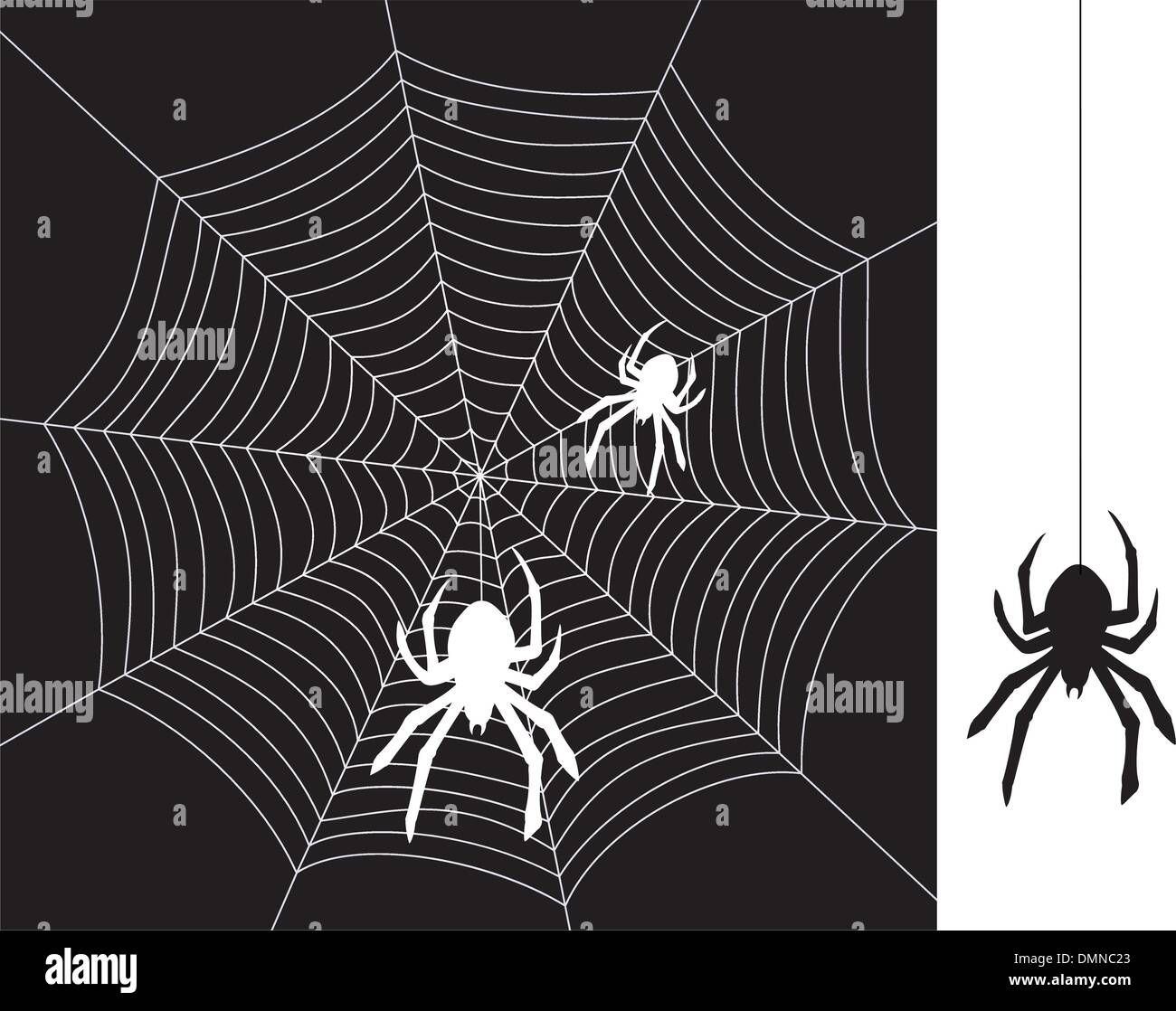 Wallpaper #52dP85IBSpphPi3-BnRA139 Vector Spiders and Web Stock Vector Image Art Alamy
