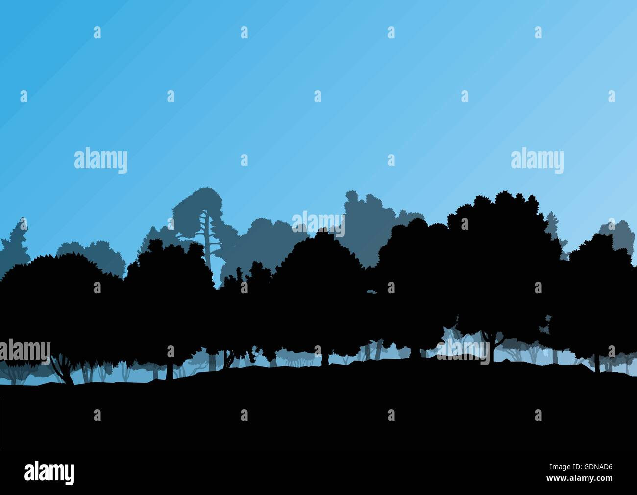 Wallpaper #rHfNJ5MB-pgBXx60M6f7222 Big Cedar Trees Stock Vector Images Alamy