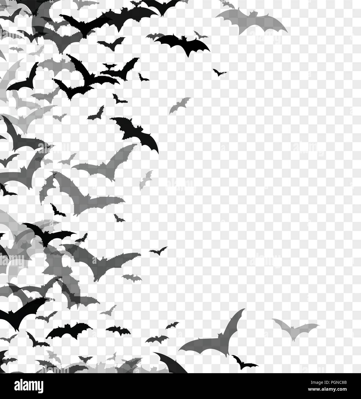 Wallpaper #r3KDMpMBX2lk1u3ogFrF242 Black Silhouette of Bats Isolated on Transparent Background Halloween