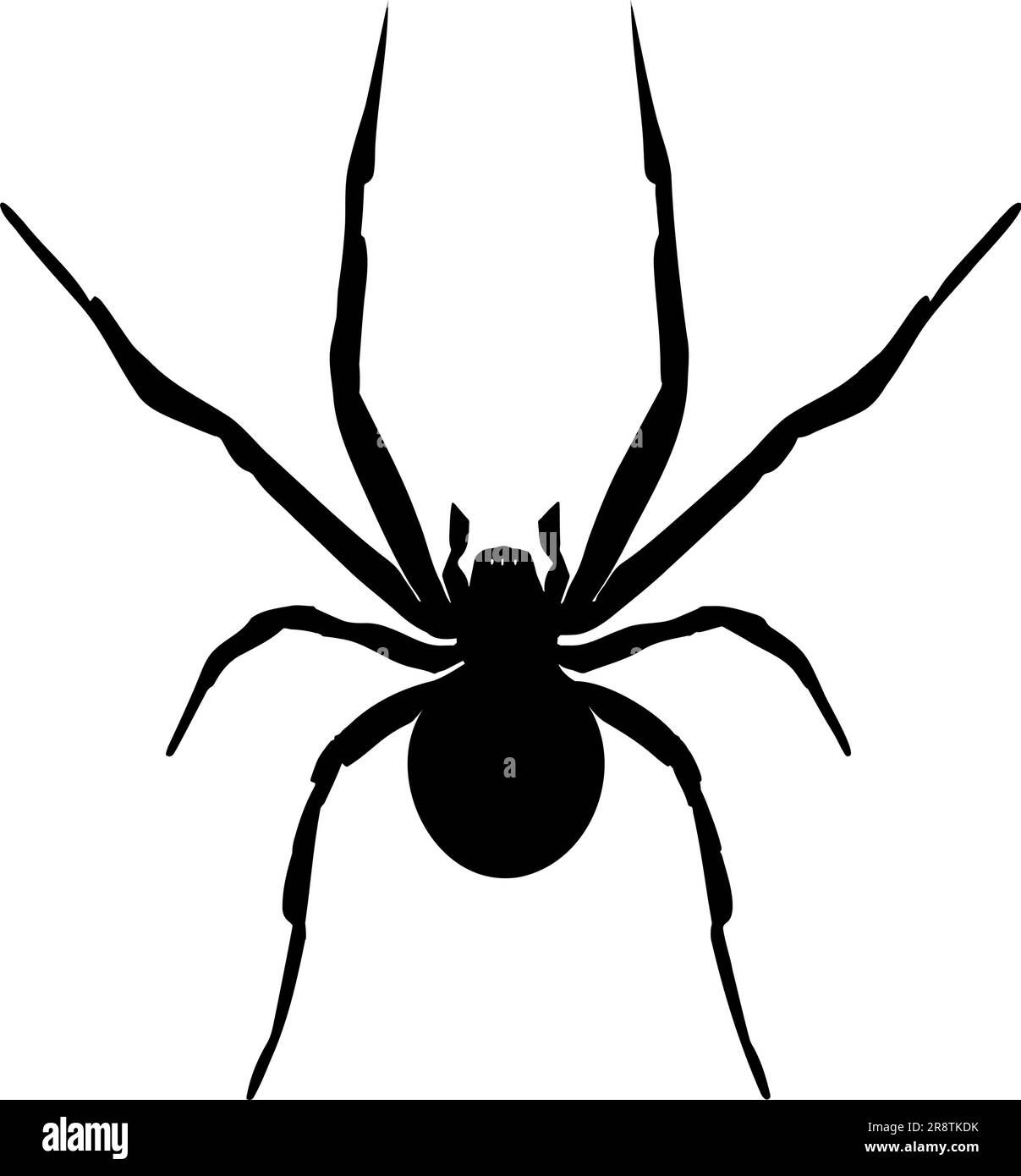 Wallpaper #BBkLE48BtGB6xQ78G2W856 Black Widow Spider Silhouette Isolated on White Background Icon Vector