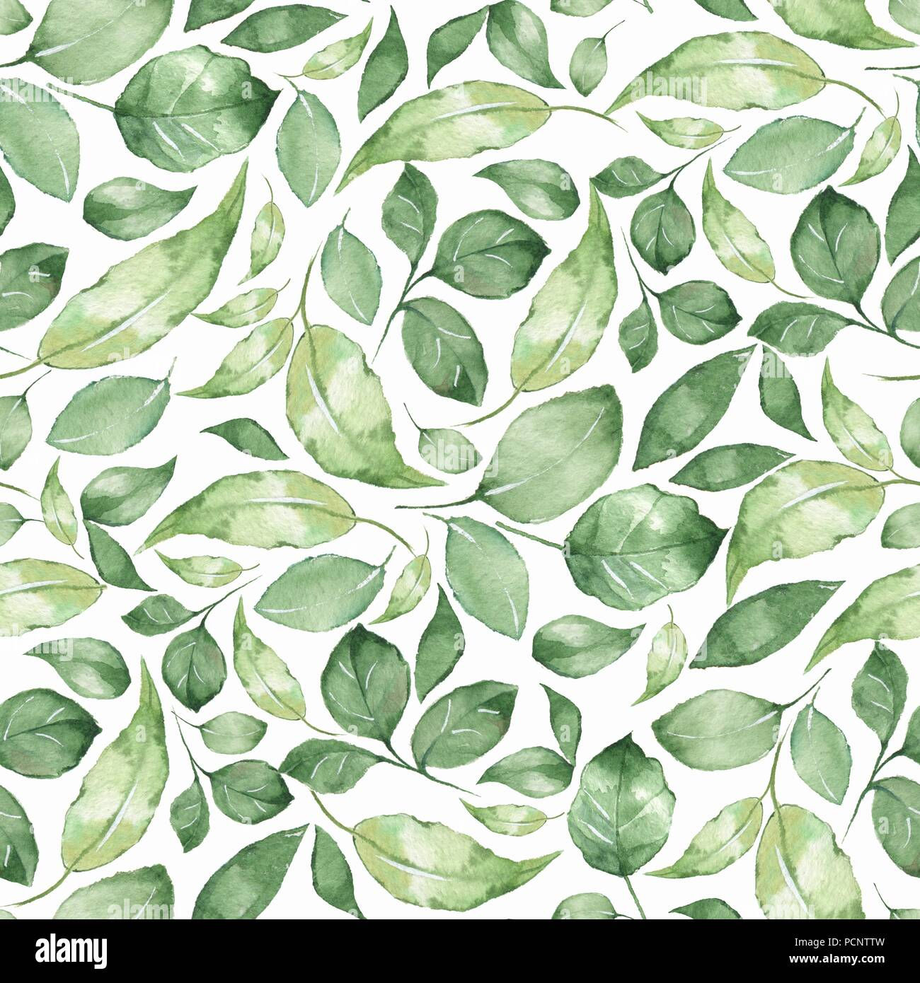 Wallpaper #am19apcBycdYOYFTxHE634 Green Watercolor Leaves Stock Photos Green Watercolor Leaves Stock