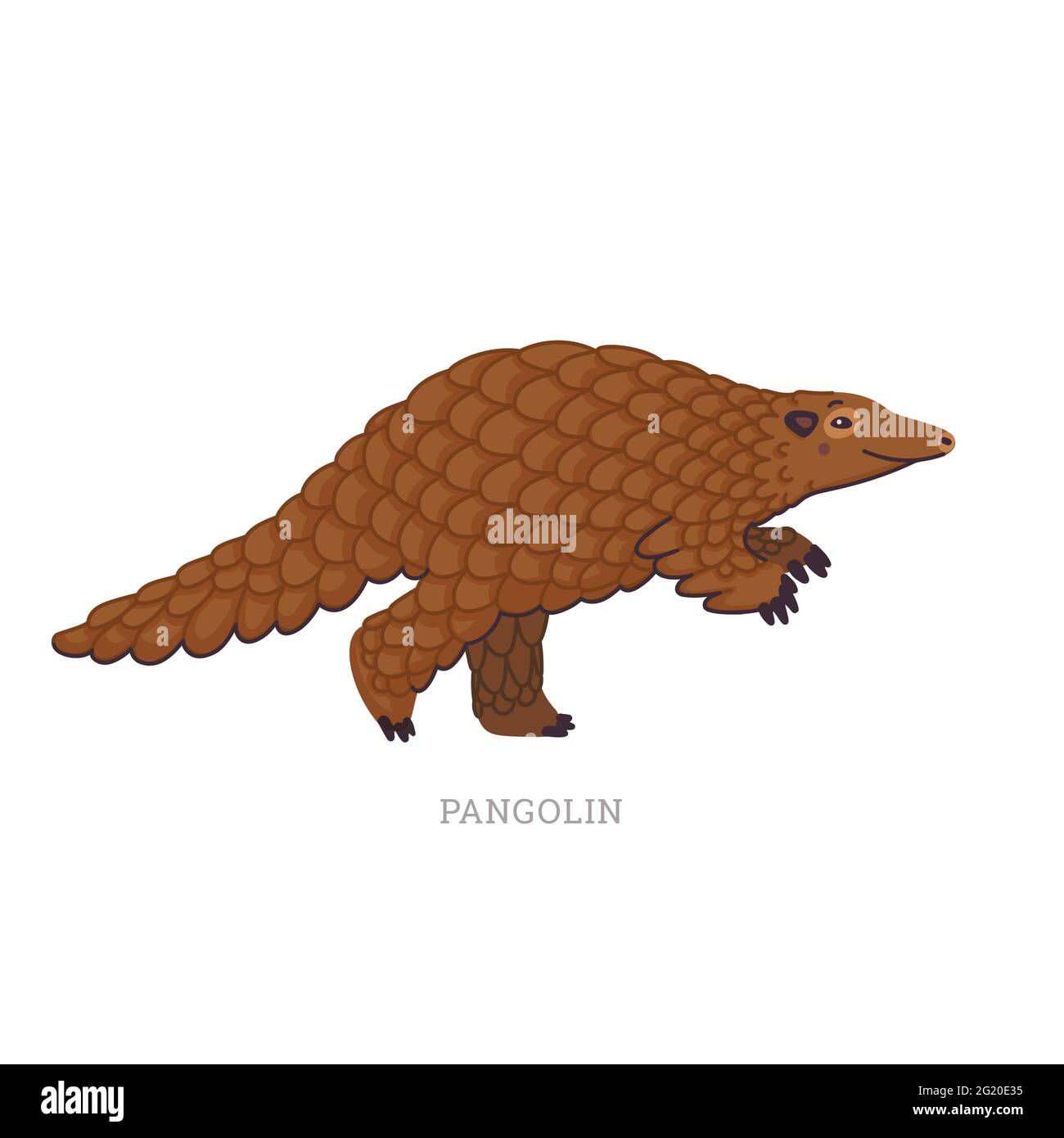 Wallpaper #dx2vLJMBlOZrFDOkYst5158 African Rare Mammals Stock Vector Images Alamy