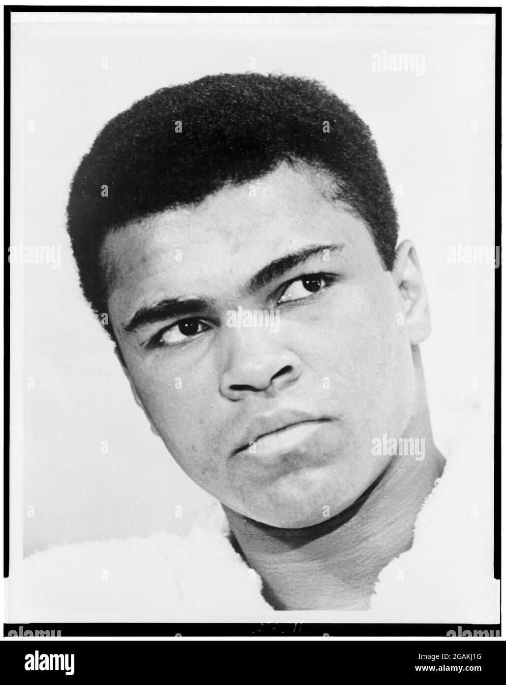 Wallpaper #jmeL65IBSpphPi3-PEx0440 Boxer Muhammad Ali Cut Out Stock Images Pictures Alamy