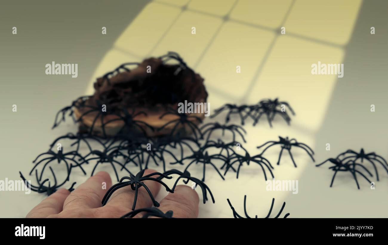 Wallpaper #zGexDZMBSpphPi3-sebl185 Arachnophobia Concept Spiders Crawling on the Hand Stock Photo Alamy