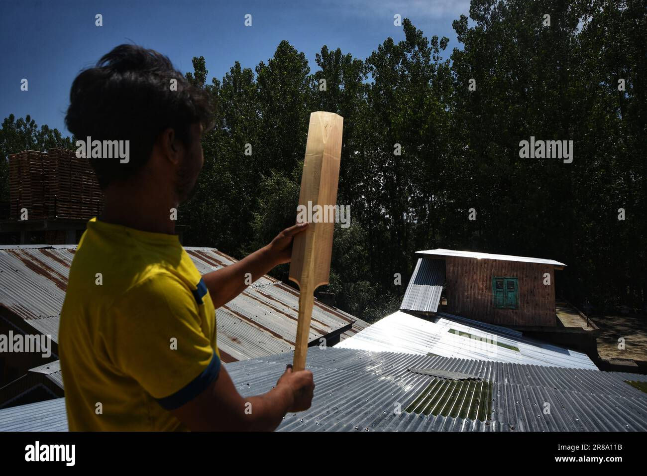 Wallpaper #uGcKC5MBSpphPi3-5NdM169 A Labourer Checks Raw Gr8 Cricket Bats at a Manufacturing Unit in