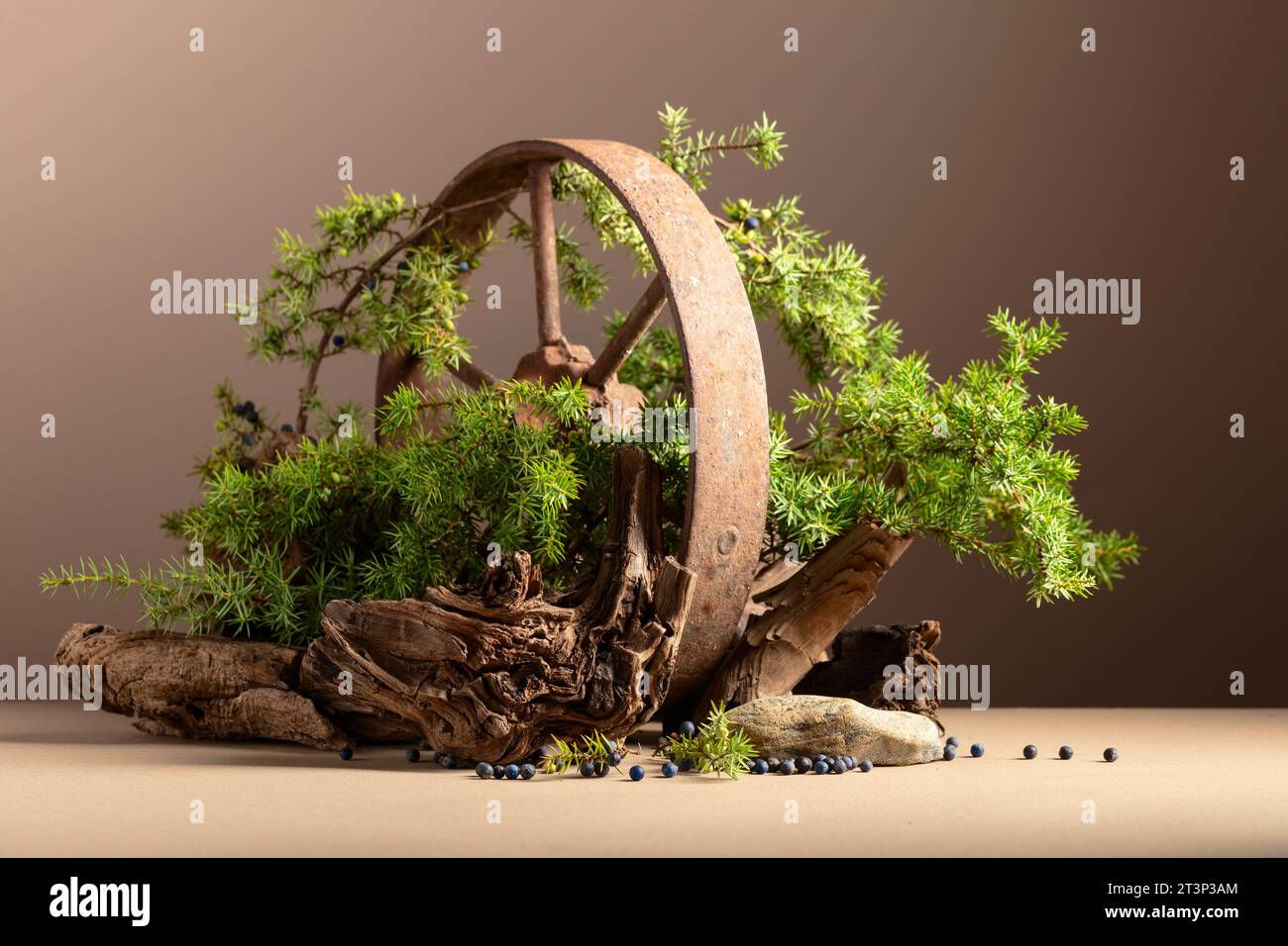 Wallpaper #9GjNGZMBSpphPi3-4hi142 Abstract Nature Scene with a Composition of Rusty Iron Wheel Juniper