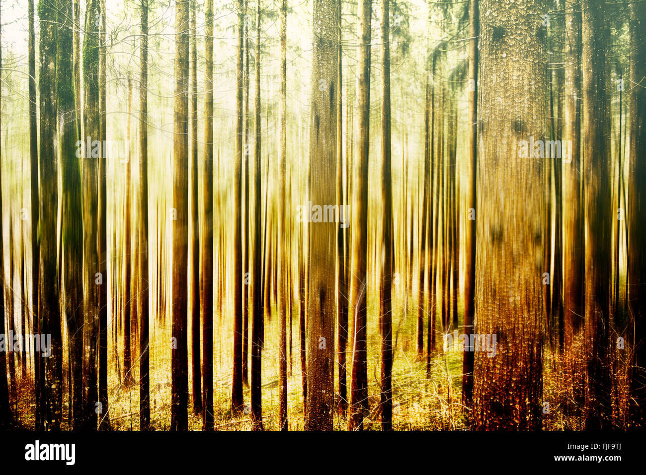 Wallpaper #qh0TLZMBlOZrFDOkGc5n50 Abstract Forest in Motion Blur Abstract Colorful Background Stock