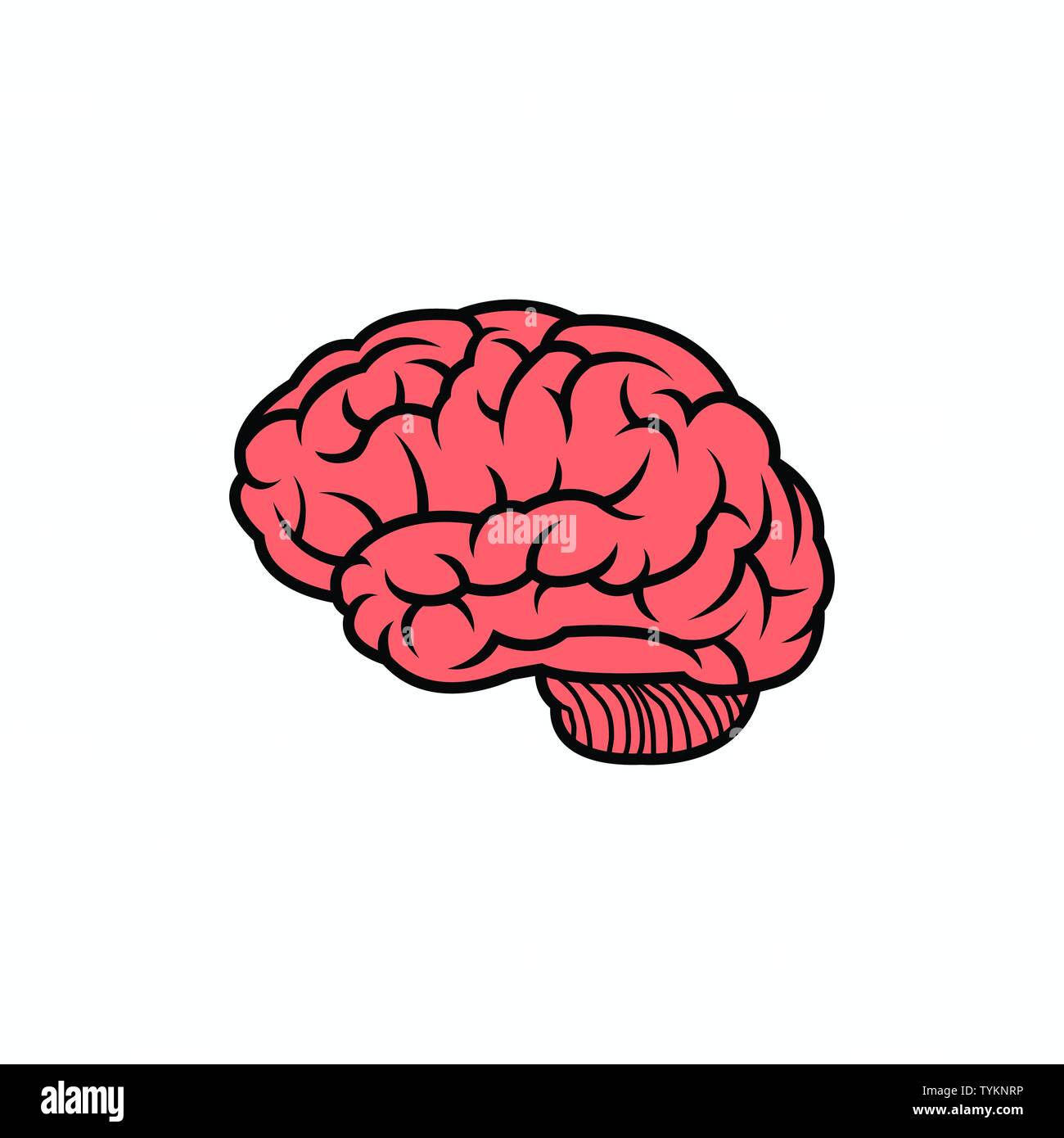 Wallpaper #WWdkEpMBSpphPi3-tvsO347 Abstract Human Brain Logo Design Template Stock Vector Image Art Alamy