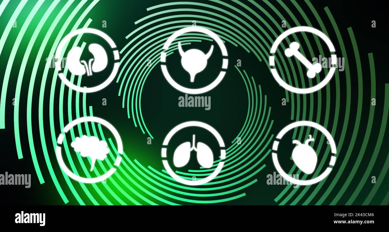Wallpaper #WWdkEpMBSpphPi3-tvsO263 Image of Human Body Icons Over Green Background with Lines Science
