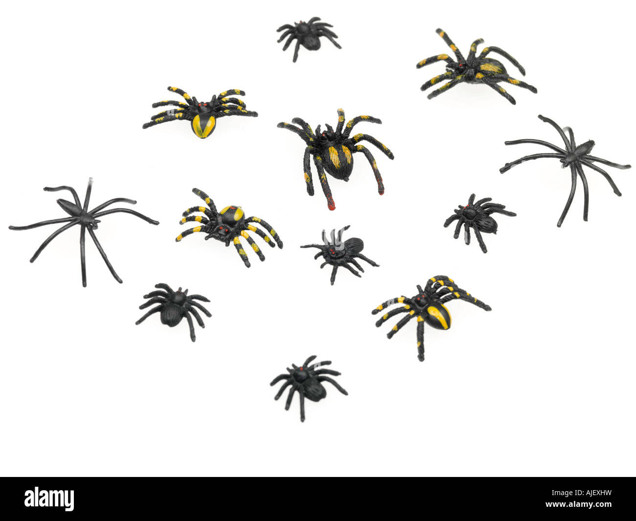 Wallpaper #HfQqOpMBKFX8bn3rhHgw359 Fake Spiders Hi Res Stock Photography and Images Alamy