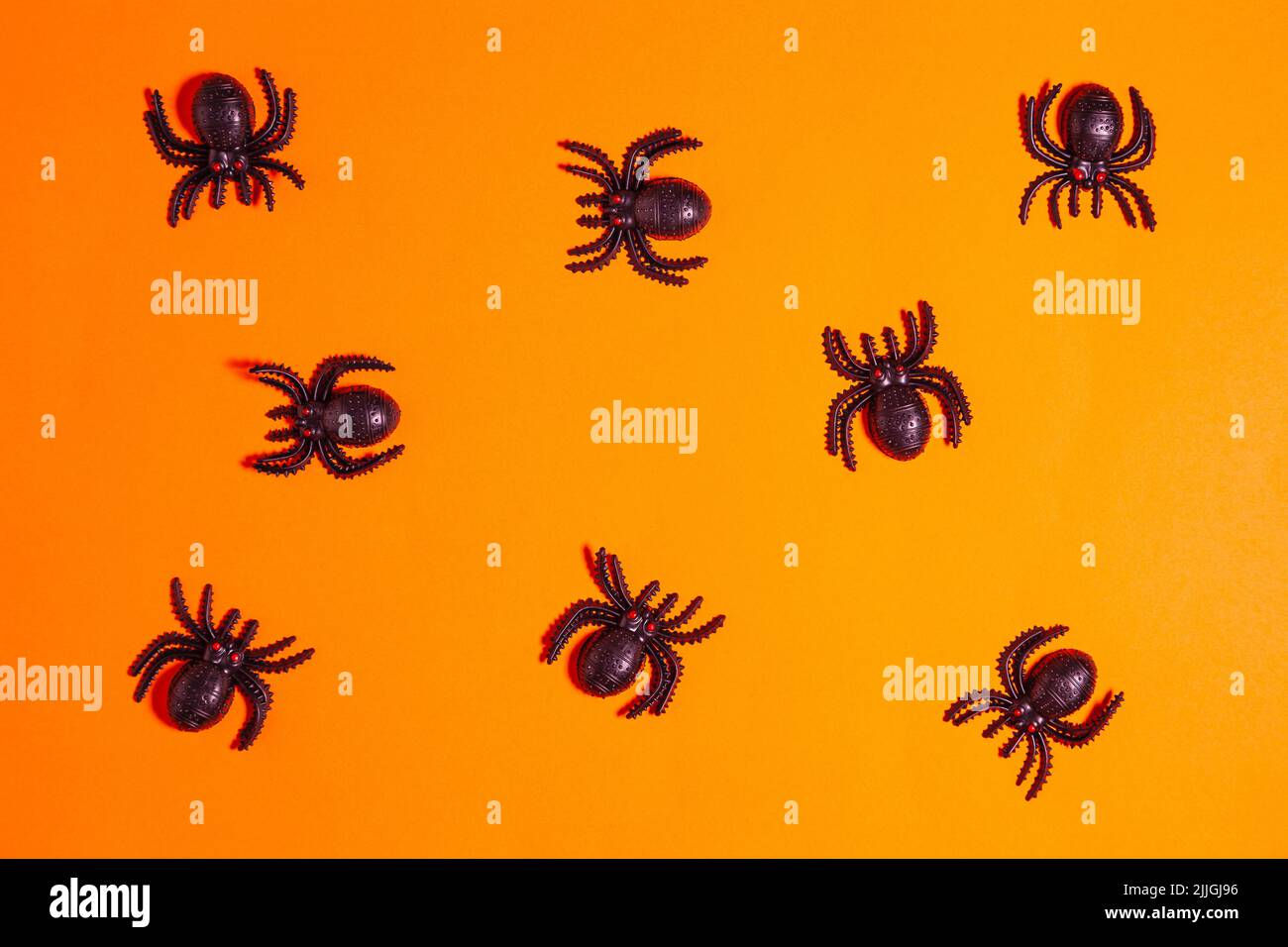 Wallpaper #HfQqOpMBKFX8bn3rhHgw47 Eight Black Plastic Toy Spiders with Red Eyes Seen from Above Placed on