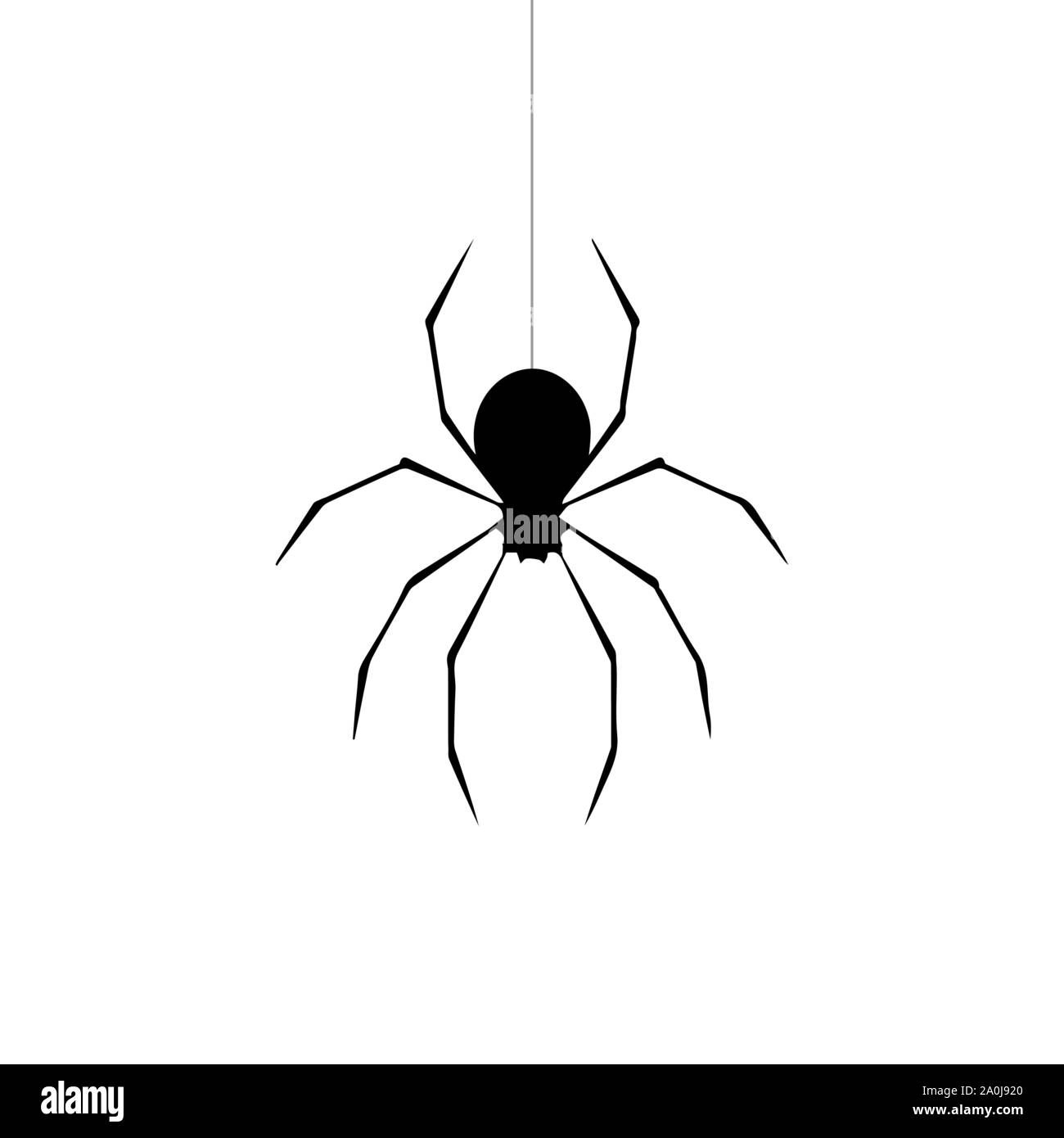 Wallpaper #RPS3OZMBKFX8bn3r6ncE282 Hanging Spider Vector