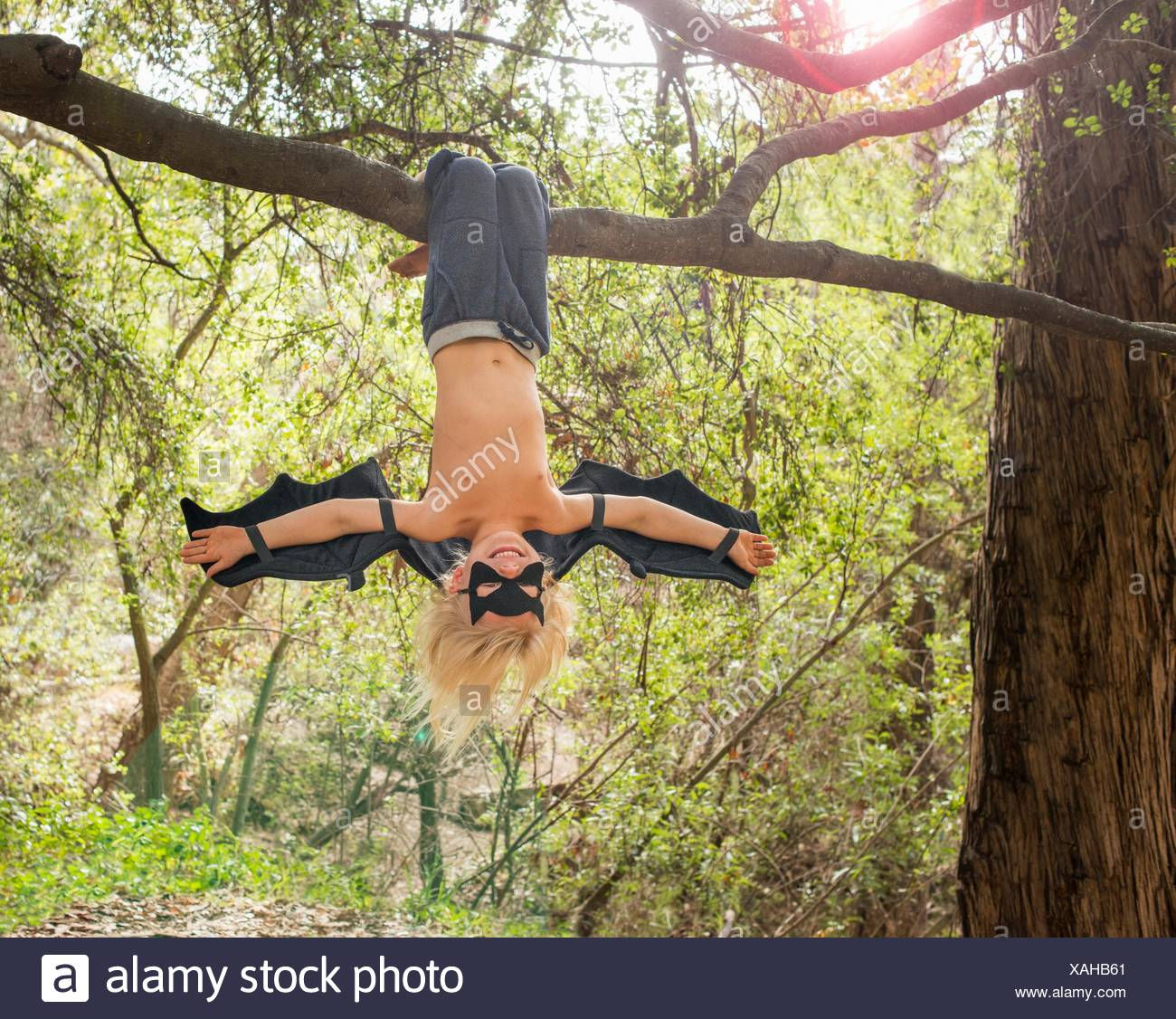 Wallpaper #2mdTDJMBSpphPi3-nt1P452 Boy Hanging from Branch Tree Stock Photos Boy Hanging from Branch