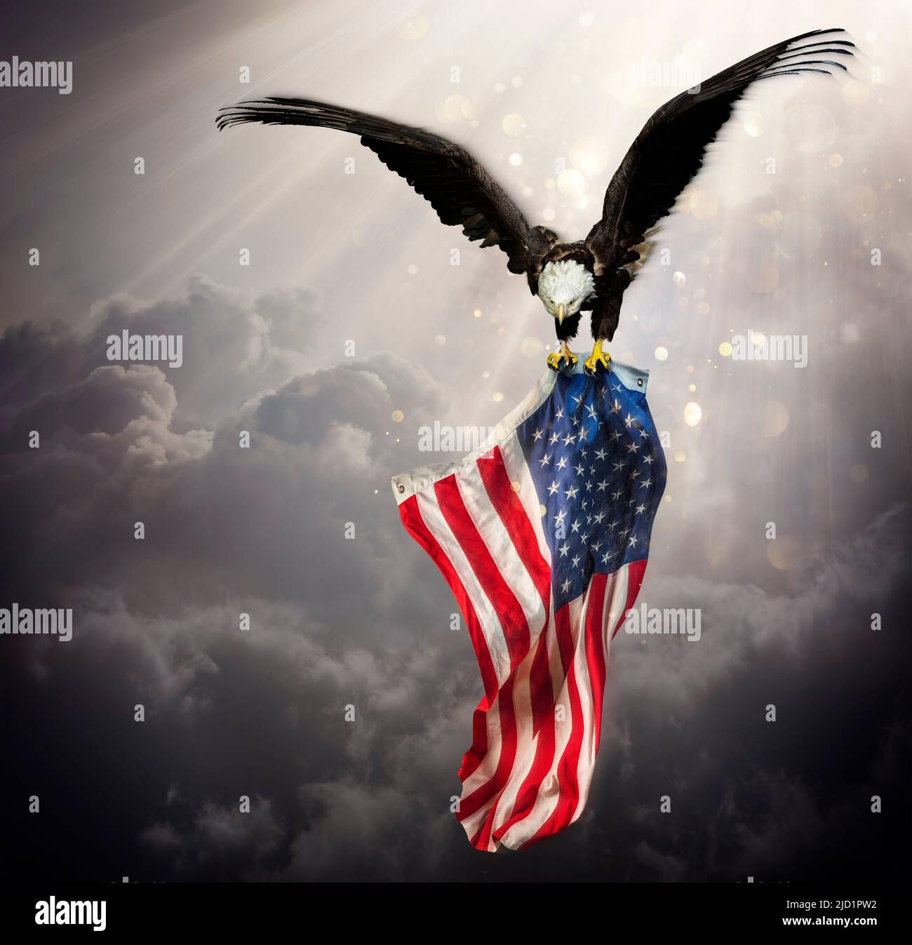 Wallpaper #6ef95 11209 Gier Eagle Images Stock Photos Vectors Shutterstock