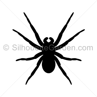 Wallpaper #71bf1 Pin by Kayleigh on Spider Drawings in 2024 Spiderman Drawing