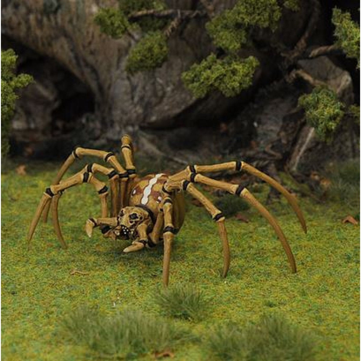 Wallpaper #GfQnOpMBKFX8bn3r3Xh877 Otherworld Miniatures Huge Spider I