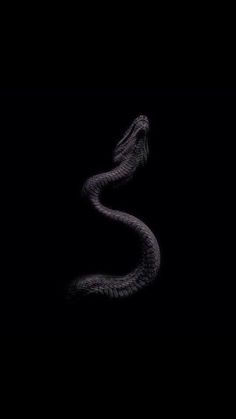 Wallpaper #tbjY3JIBJvJKYCmEhf1i343 Bellatrix Black Aesthetic Aesthetic Art Snake Art Dark Art