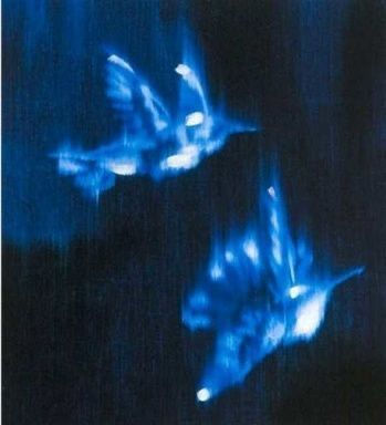 Wallpaper #tbjY3JIBJvJKYCmEhf1i430 Surreal Blue Birds Flying at Night