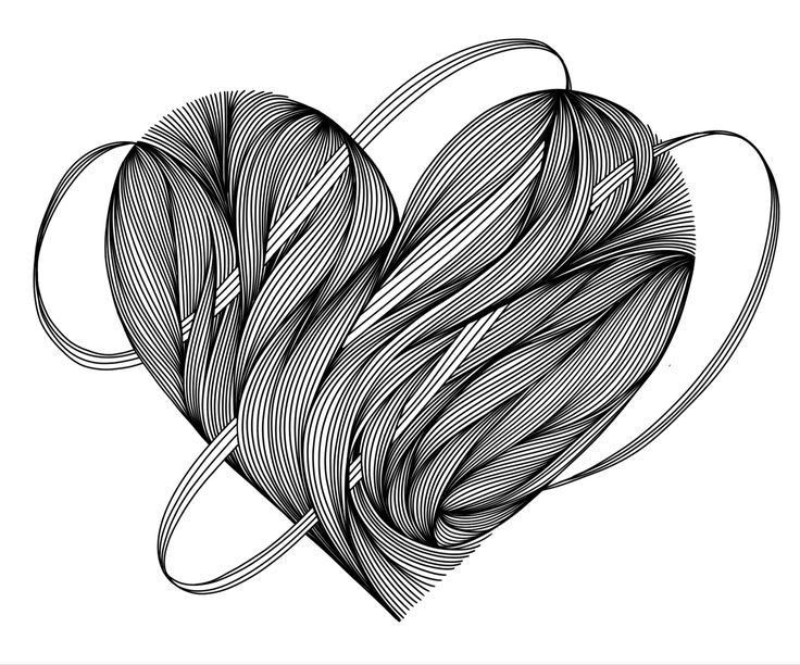 Wallpaper #_7g21pIBJvJKYCmEItw-459 Pin by Amber Riley on Line Art Faves Black Pen Drawing Flower Art