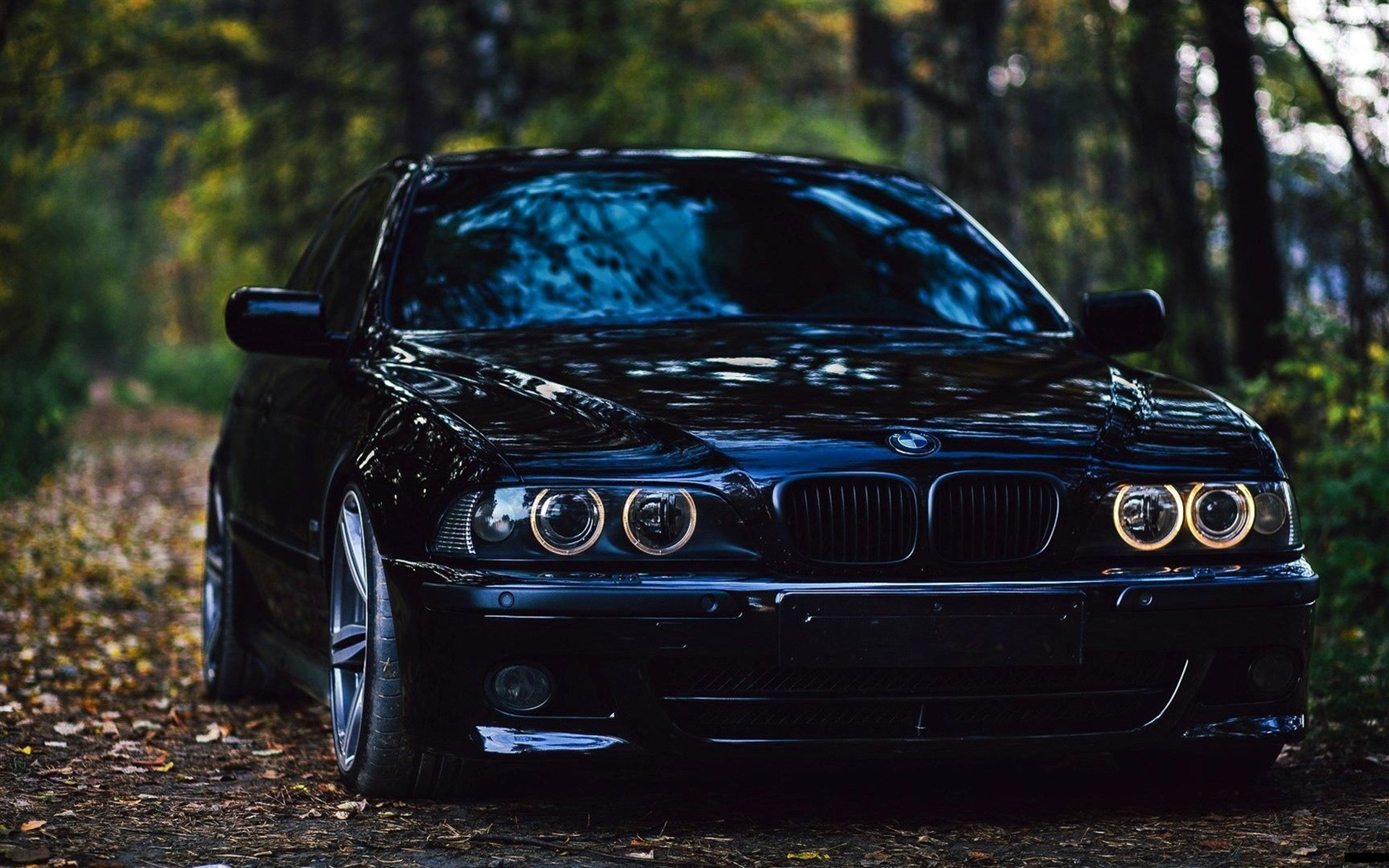 Wallpaper #Arnv3pIBJvJKYCmEPQho26 BMW E39 5 Series Headlights