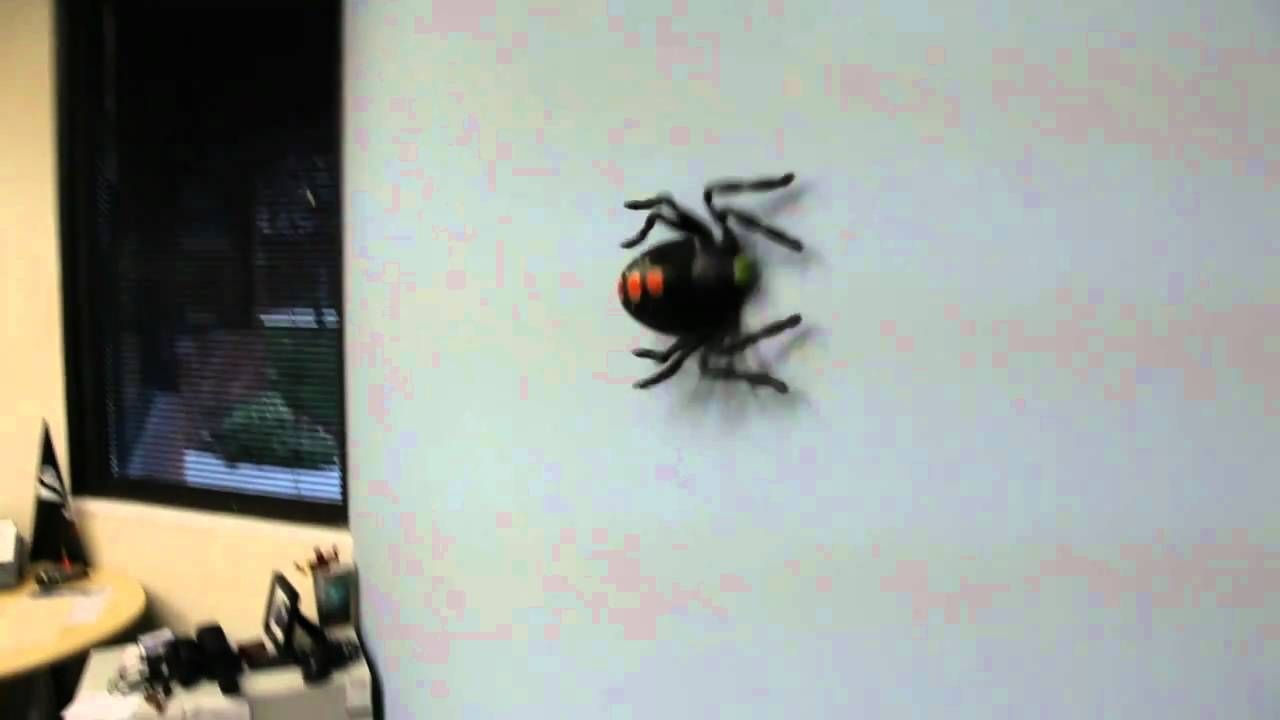 Wallpaper #0py84pIBZHQxiYarPcGv289 Web Runner Wall Crawling Rc Spider from Thinkgeek Think Geek Spider