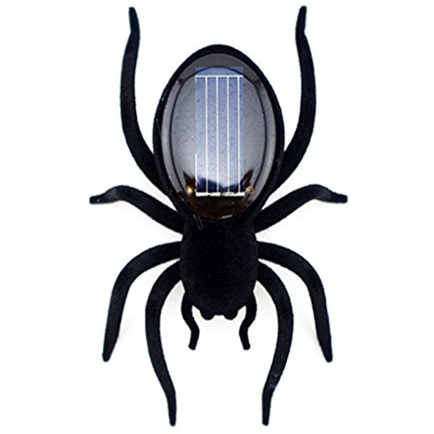 Wallpaper #1fQOOpMBKFX8bn3r-3cr131 Solar Powered Spider Toy by Edcmaker You Can Find More Details by