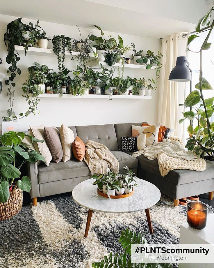 Wallpaper #b5610 30 Pretty House Plants Ideas for Living Room Decoration Living Room