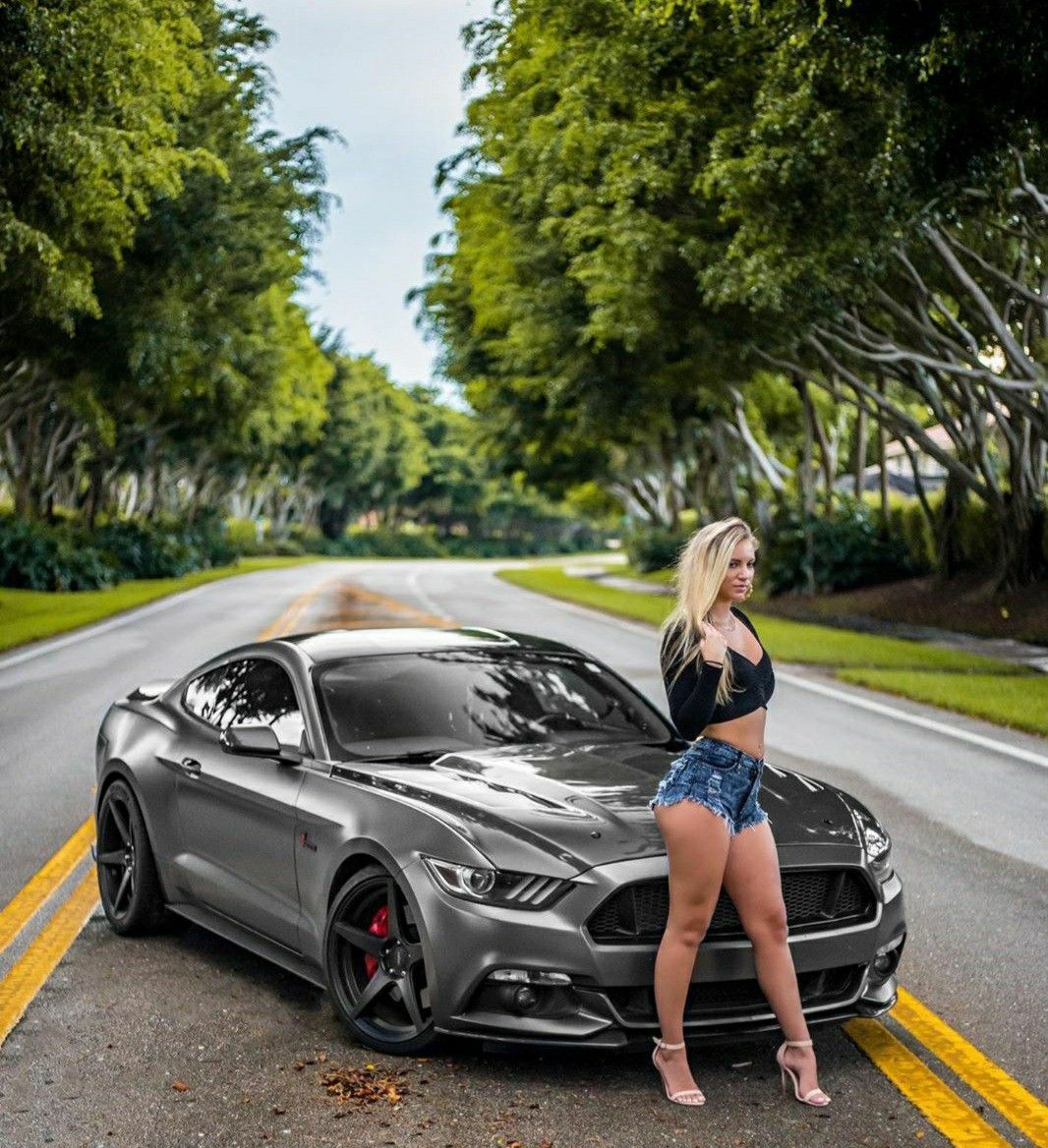 Wallpaper #t31h844Bnwiau_P6NwxS26 Pin by Ray Wilkins on Mustangs Ford Mustang Car Girls Mustang