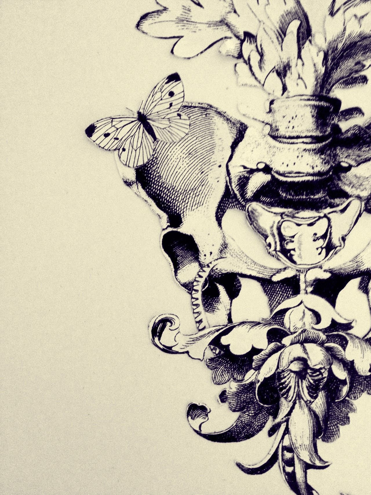 Wallpaper #WWdkEpMBSpphPi3-tvsO11 Anatomy Art Google Search Anatomy Art Medical Art Art