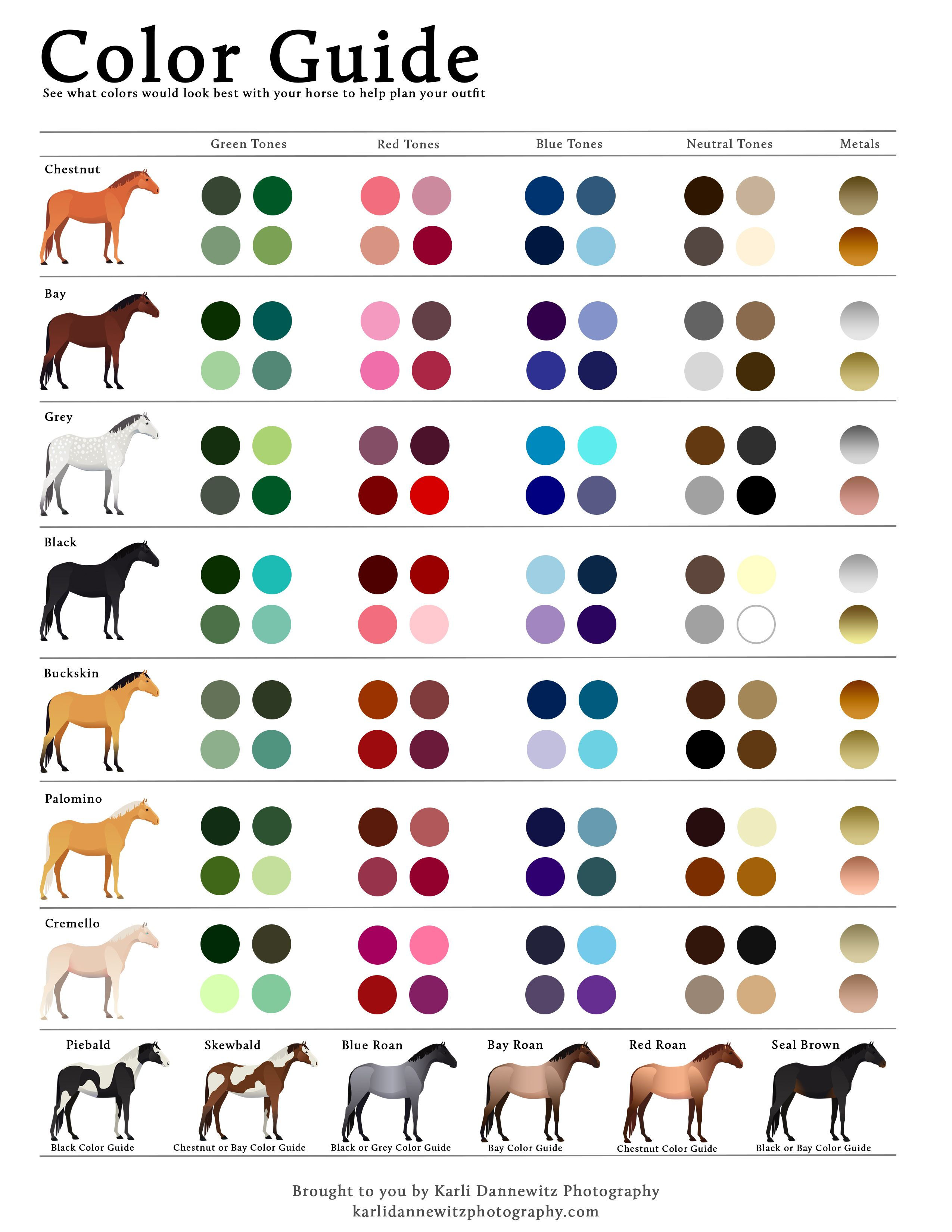 Wallpaper #ovBcgJcBi4JM6agGYCEx194 What Colors to Wear with Your Horse