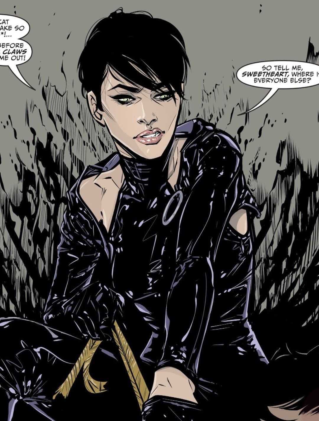 Wallpaper #363XMZMBKf019FdaGxGA215 Pin by Michael Bussard on Catwomanselina Kyle DC Catwoman Comic