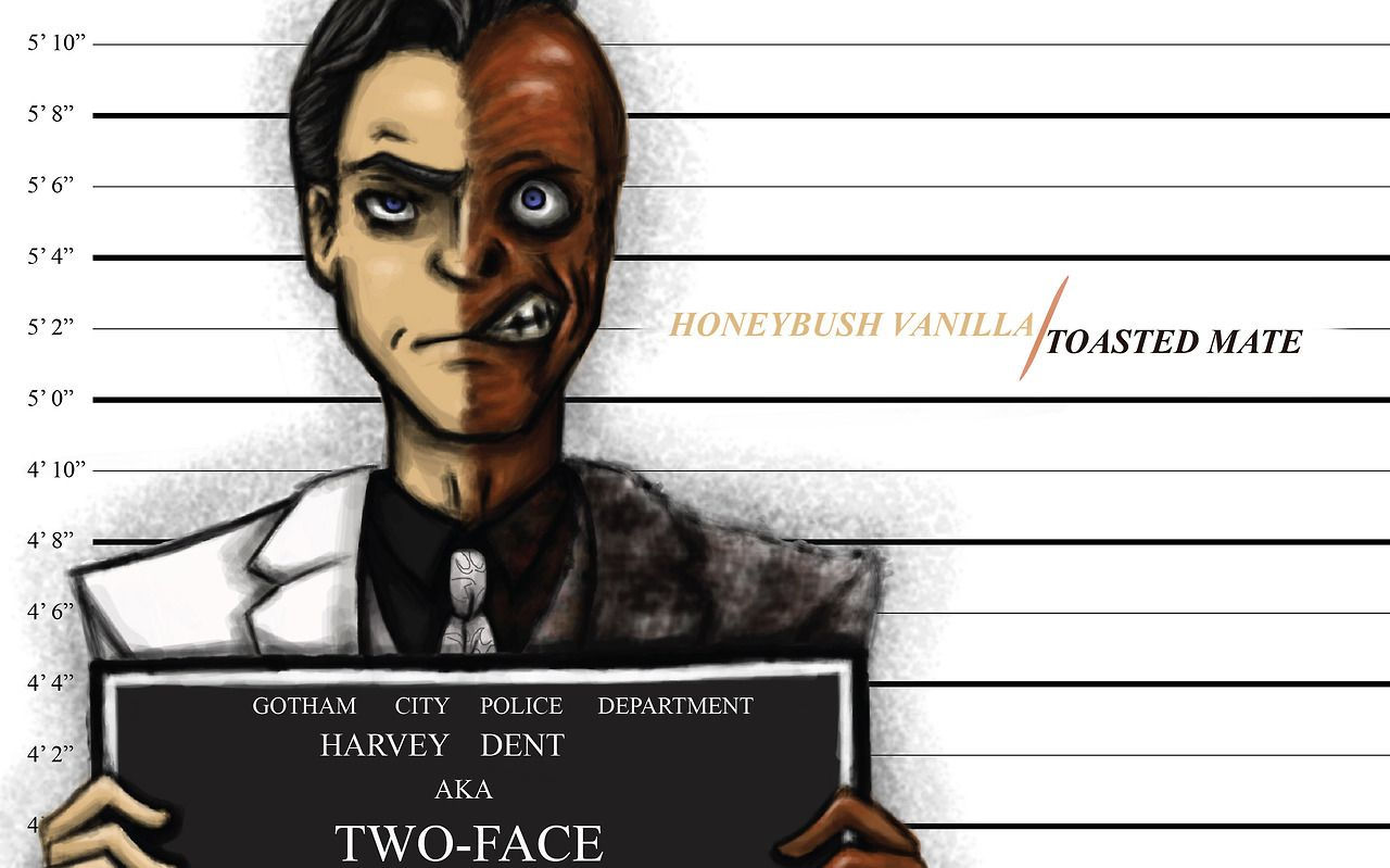 Wallpaper #wD9tPJMBLiIJ4c9OS5GL200 Harvey Dent Scoundrel Arkham Asylum Im Batman Behind Bars Two