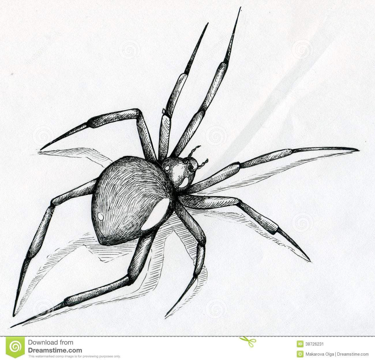 Wallpaper #O_S0OZMBKFX8bn3r9Xeu218 Black Widow Spider Drawing Spider Drawing Spider Art Black Widow Spider