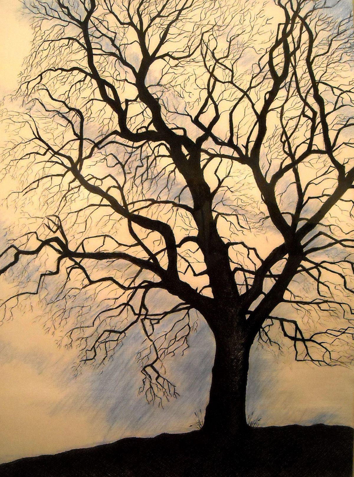 Wallpaper #BWgvFZMBSpphPi3-Zwec6 Pin by Rx4 Art Spa on Art Mixed Medium Tree Drawings Pencil Tree
