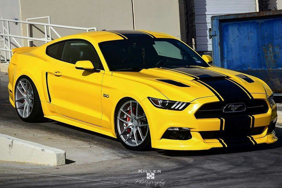 Wallpaper #driY3JIBJvJKYCmENPxe66 Modified Mustang Mustang Cars Muscle Cars Cars