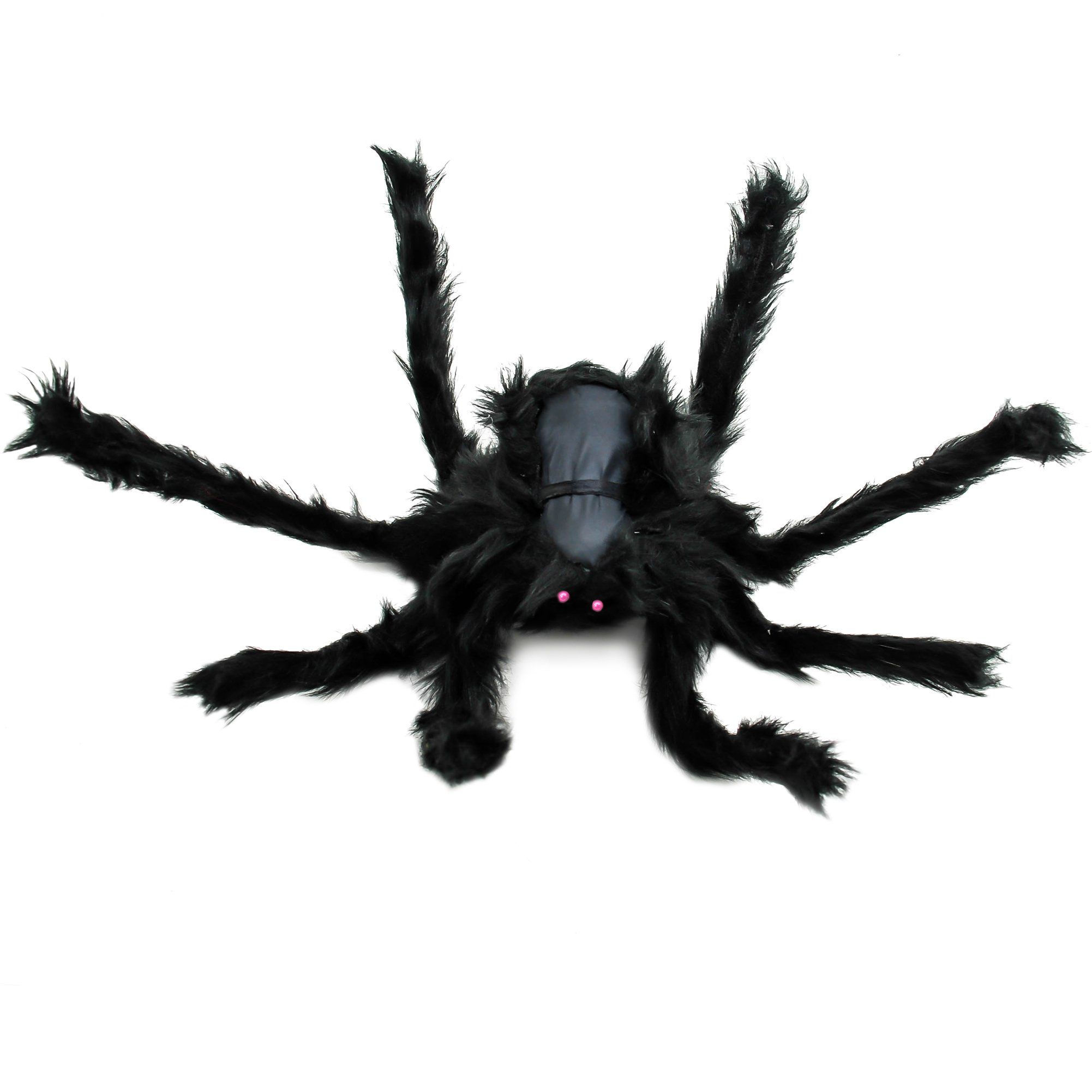 Wallpaper #3PQROpMBKFX8bn3rnHfv57 Toaob 19 Black Large Spider Plush Toy Realistic Hairy Spider Halloween