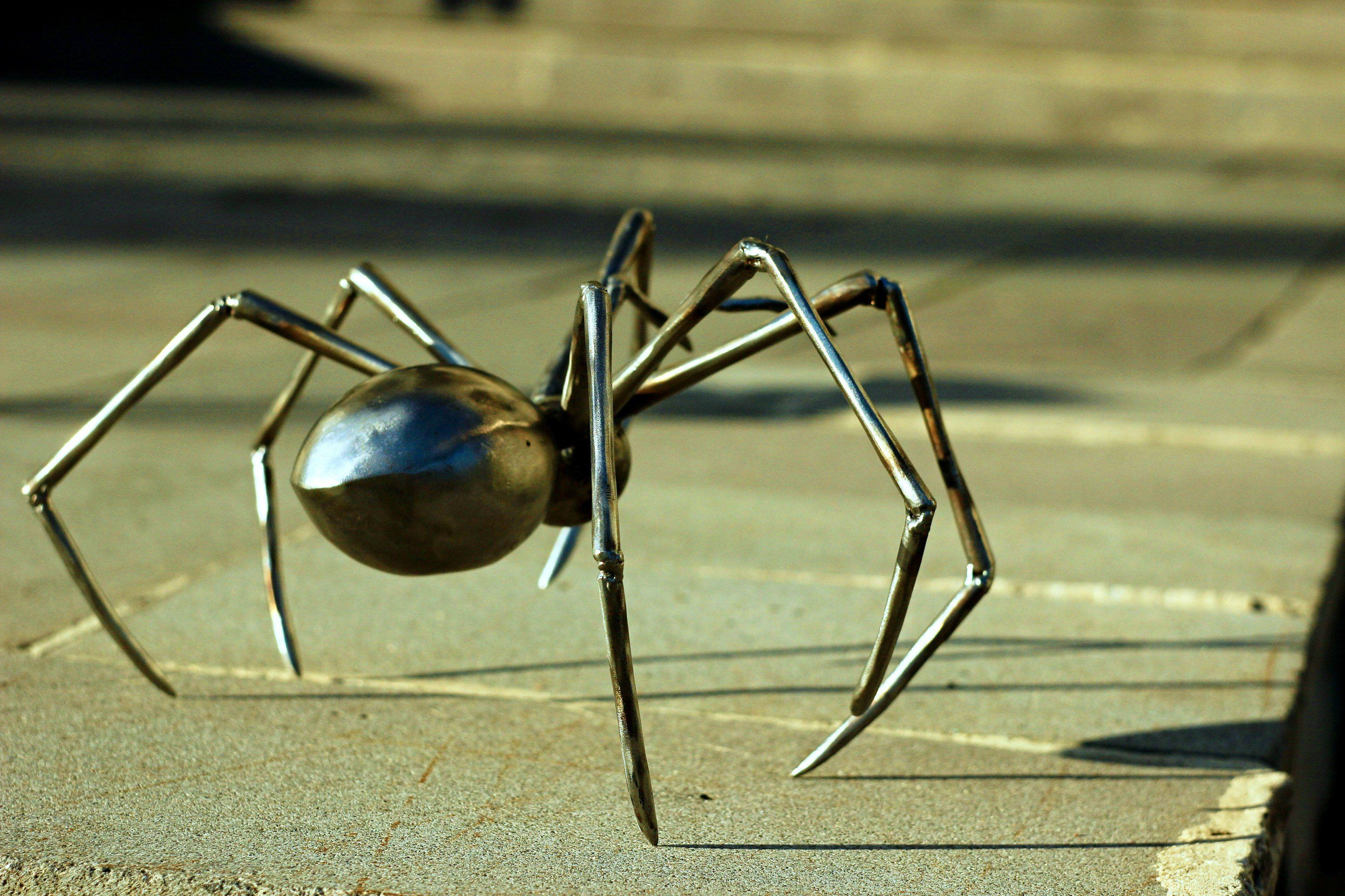 Wallpaper #aTNBM5MBcgDP3FvJcqoo184 Metal Spider Steel Spider Art Sculpture Etsy Spider Art Scrap