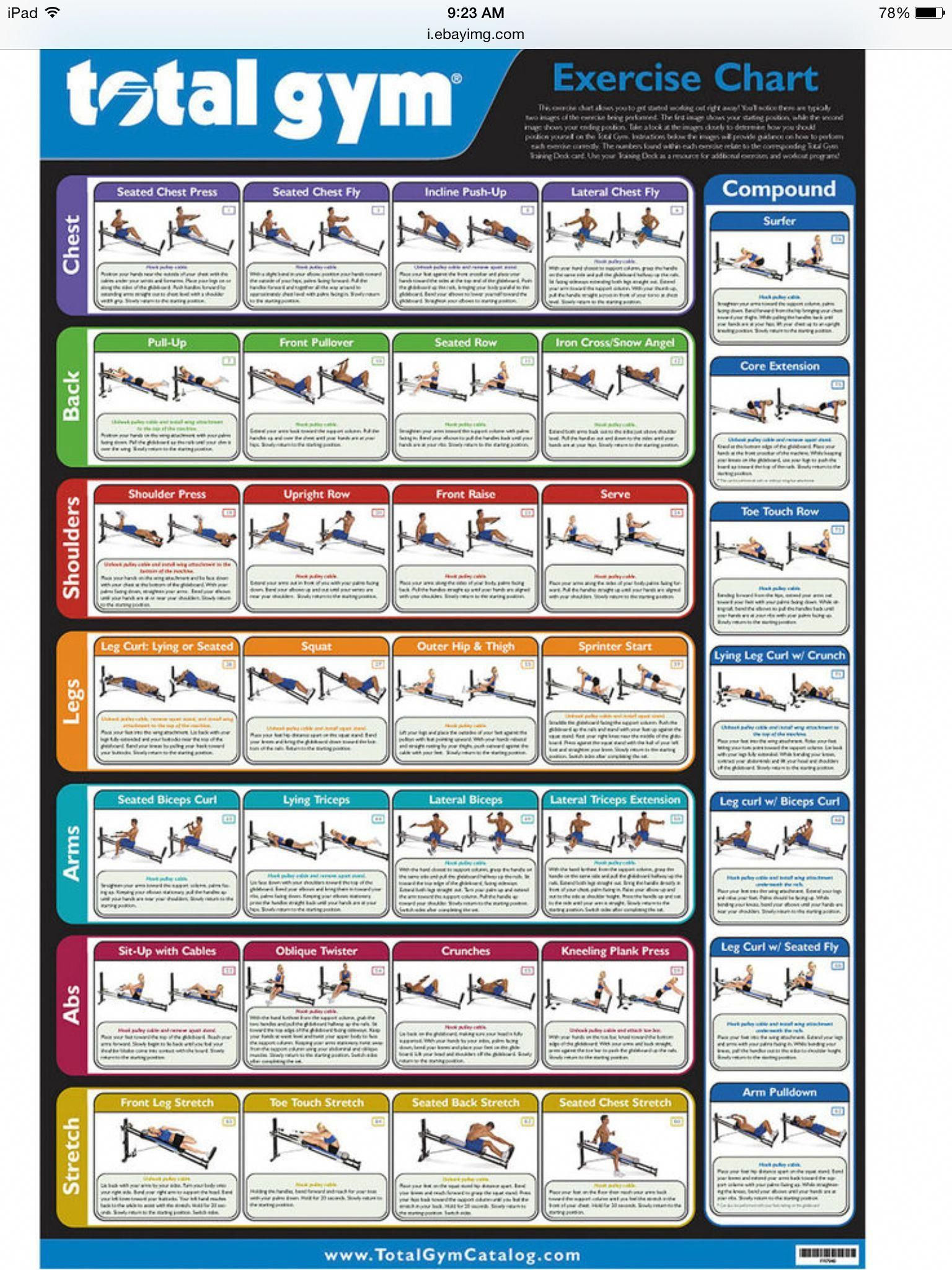 Wallpaper #FF7FB The Suspension Workout Chart Shows How to Do It and What You Can Do with It