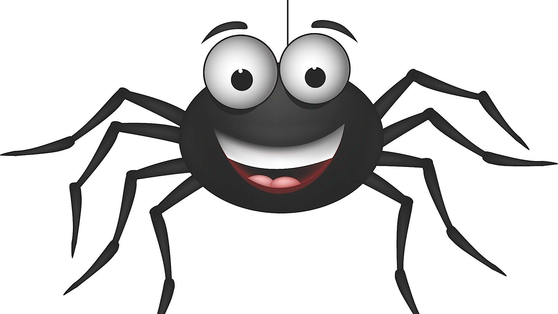 Wallpaper #P-bVMpMBA7IOc3WmdhKX49 Fun Facts About Spiders Spider Cartoon Spiders Funny Get Rid of Spiders