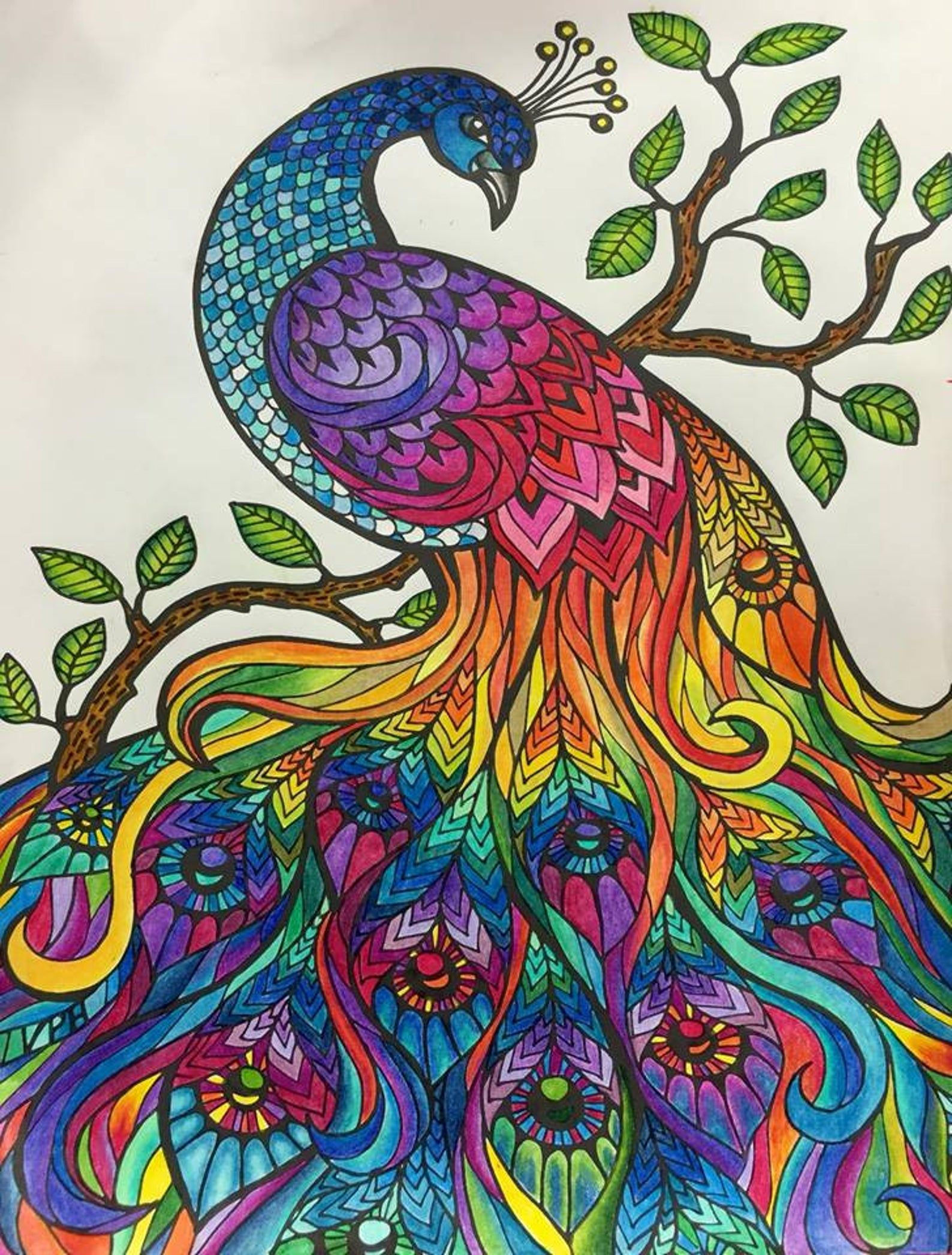 Wallpaper #9A5D6 Adult Coloring Book Coloring Tips for You
