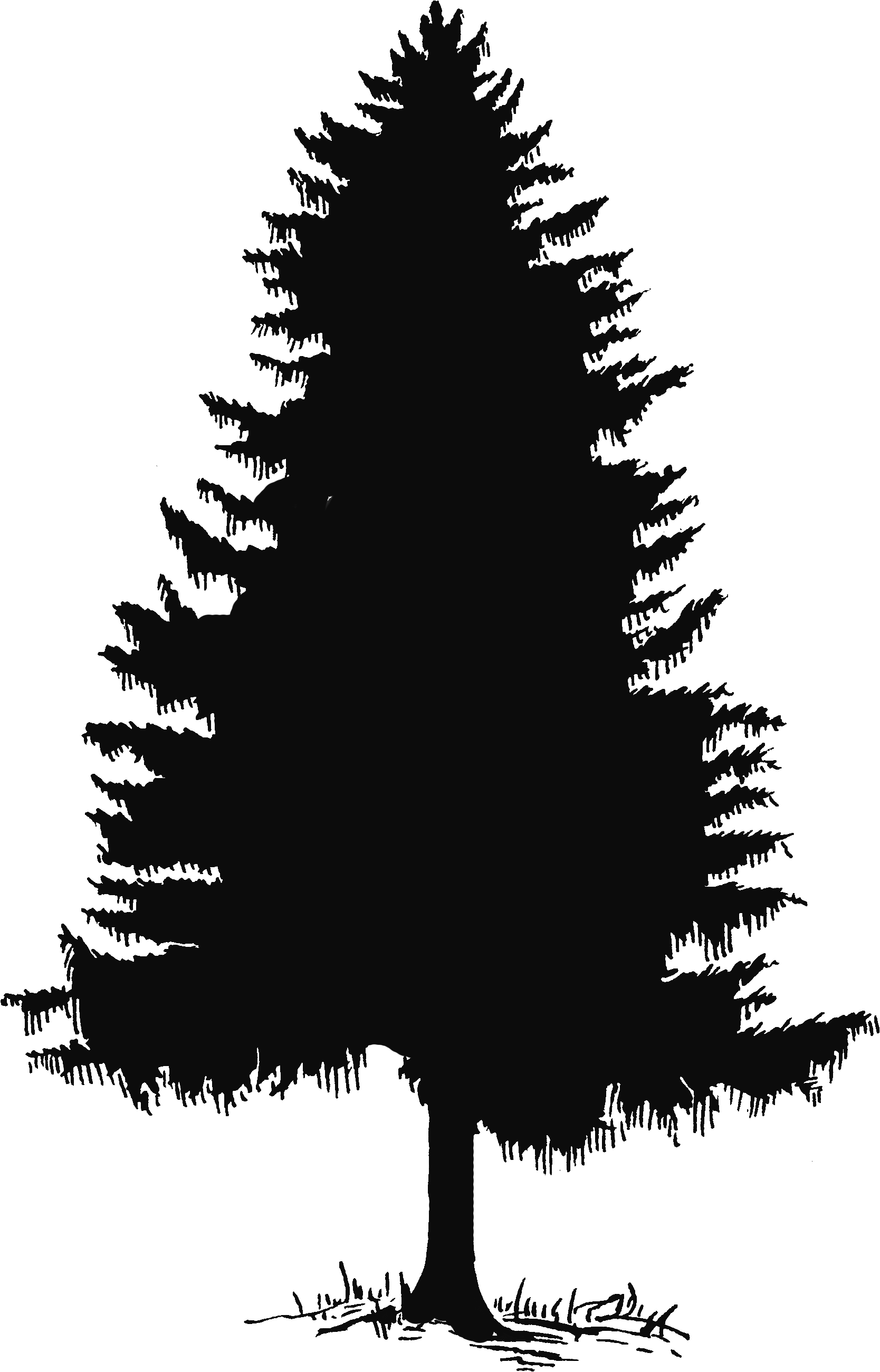 Wallpaper #BGdQC5MBSpphPi3-qtkV352 Vector Pine Tree in 2024 Silhouette Clip Art Pine Tree Silhouette
