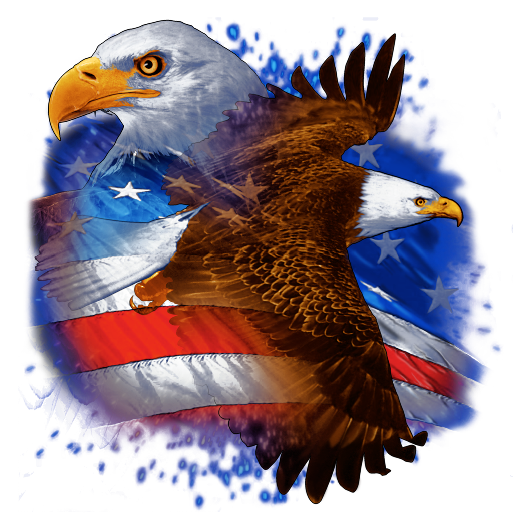 Wallpaper #6ef95 11209 Gier Eagle Images Stock Photos Vectors Shutterstock