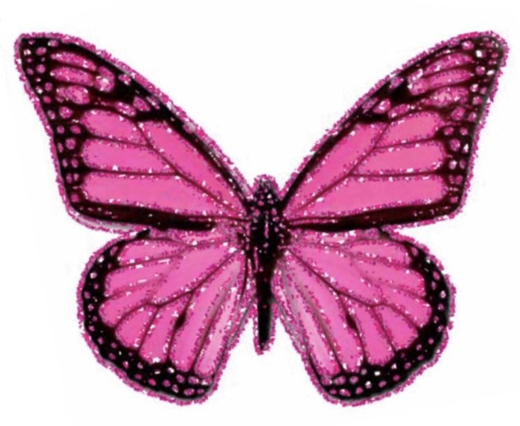 Wallpaper #D7iA2pIBJvJKYCmESvJV384 Pin by Creamsoda on Archive Pink Butterfly Butterfly Pink Aesthetic