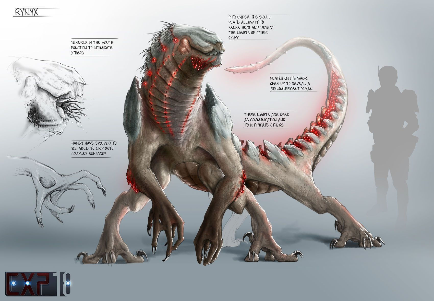 Wallpaper #2GgfJJMBSpphPi3-Azfz310 Rynyx Creature Concept Sheet Cgtrader Digital Art Competition