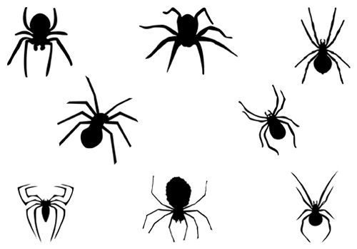 Wallpaper #71bf1 Pin by Kayleigh on Spider Drawings in 2024 Spiderman Drawing