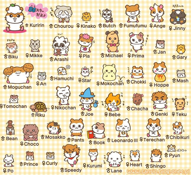Wallpaper #DLih2JIBJvJKYCmERemF89 Sanrio Kurinins Friends Hello Kitty Characters Sanrio Characters