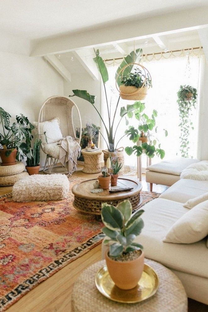 Wallpaper #b5610 30 Pretty House Plants Ideas for Living Room Decoration Living Room