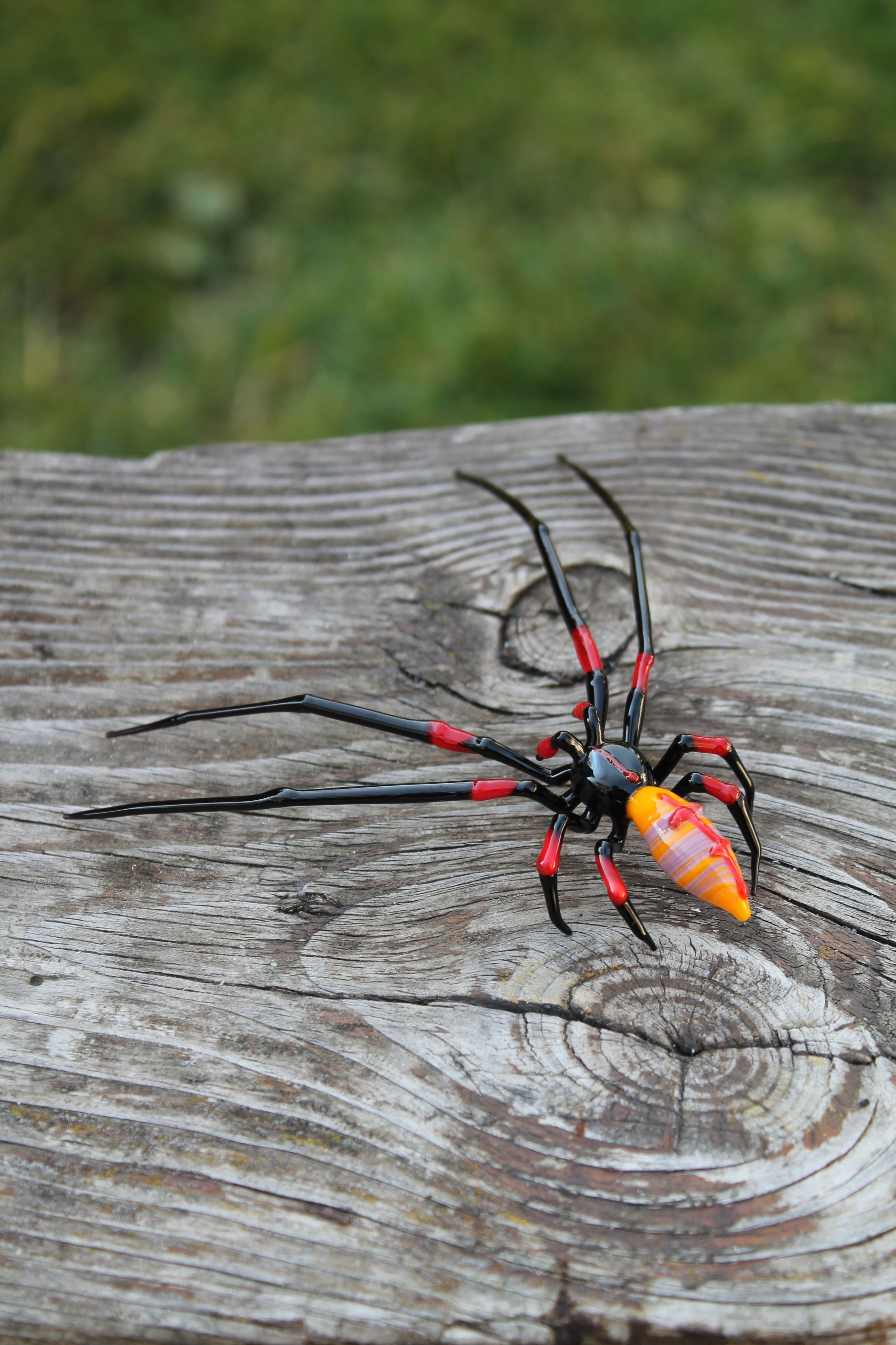 Wallpaper #H_SpOZMBKFX8bn3rSXeg301 Helloween Glass Spider Figurine by Glass Symphony Glass Figurines